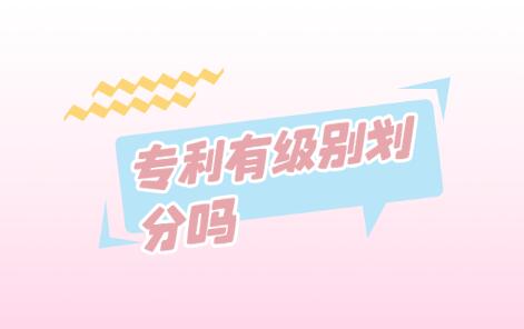 專(zhuān)利有級(jí)別劃分嗎