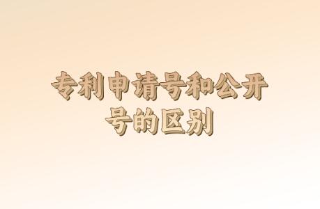 專利申請?zhí)柡凸_號的區(qū)別