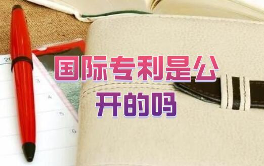 國際專利是公開的嗎