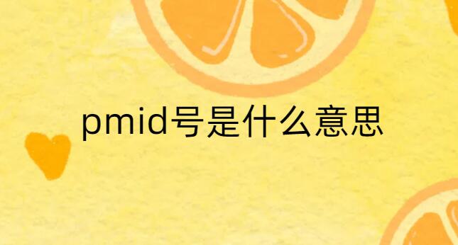 pmid號(hào)是什么意思